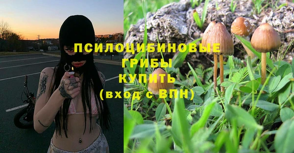 бошки Мамадыш